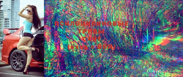 jwh Богданович