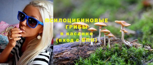 соль курить ск Богородск