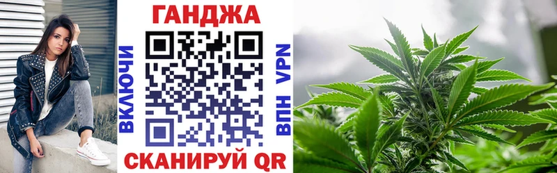 Бошки марихуана сатива  Новый Уренгой 